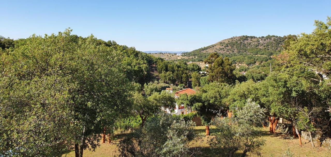 Вилла Casa Do Passaro Galegos  Экстерьер фото