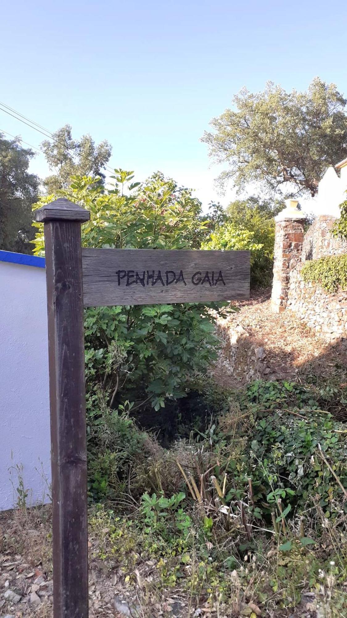 Вилла Casa Do Passaro Galegos  Экстерьер фото